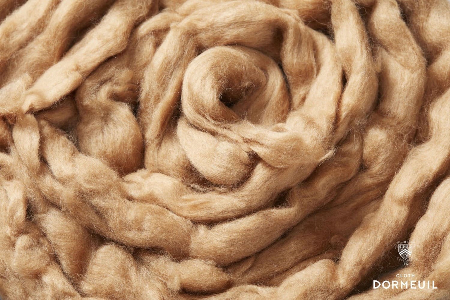 Грациозная викунья, чье волокно так ценится в текстильном мире.